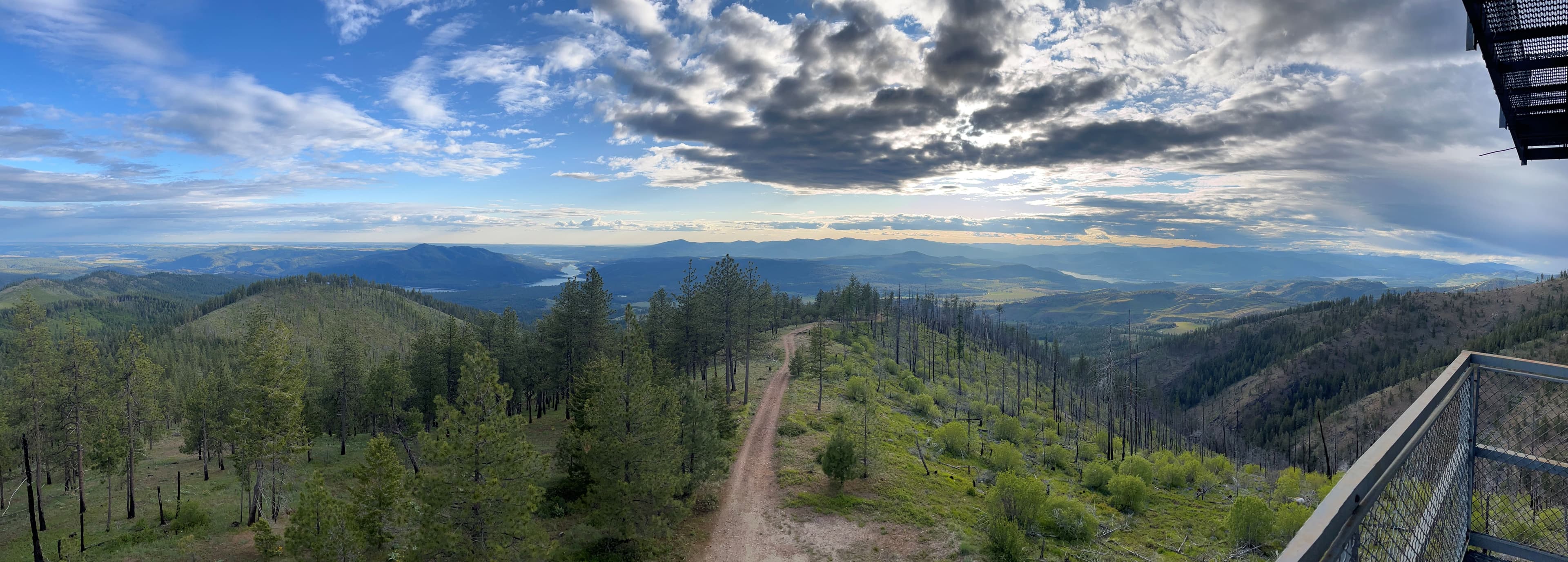 View from the Westend Lookout across pines, a dirt road, and the rivers beyond.